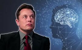 Elon Musk se grăbeşte şi anunţă revoluţia Implantarea cipurilor în creierul uman ar putea începe de anul acesta