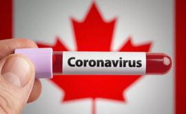 В Канаде зарегистрирован первый случай бразильского штамма коронавируса