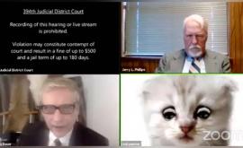 Haz de necaz Un avocat transformat în pisică întro transmisiune pe Zoom