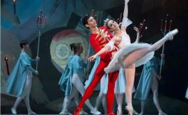 Изза нищеты артисты балета Национального театра им Марии Биешу вынуждены искать работу в других местах