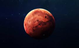 Forme de viață terestră ar putea supraviețui temporar pe Marte