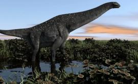 Au fostdescoperite fosilele unui titanozaur care a trăit în urmă cu 140 de milioane de ani