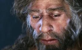  Неандертальцы общались так же как современные люди