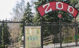 Cum arată scările de la Grădina Zoologică din capitală după reparație FOTO