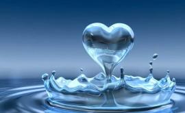 Сегодня отмечается Всемирный день воды