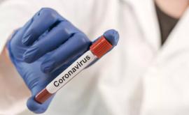Рекордное число инфицированных коронавирусом в Болгарии
