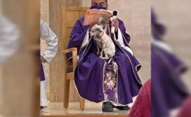 Священник из Мексики провел литургию со своей собакой на руках