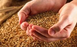 Președintele cere Guvernului să impună restricții temporare la exportul grîului