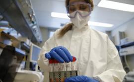 ВОЗ попросили проверить вероятность утечки коронавируса из лаборатории в США
