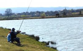 С 1 апреля рыбная ловля будет запрещена