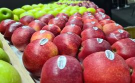 Новый удар для поставщиков яблок из Молдовы 