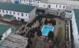 În ce condiții Machena șia ispășit pedeapsa în penitenciarul de la Cricova