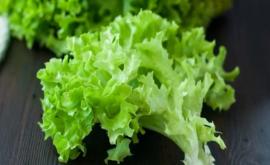 De ce este aşa de sănătoasă salata verde