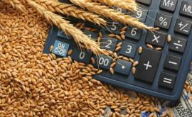 Агентство материальных резервов заявляет Шумиха вокруг пшеницы политизированная дезинформация