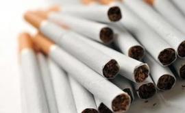 Șapte mii de țigarete găsite de cîinele Poliției de Frontieră Nero