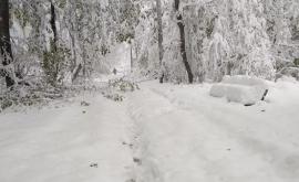 Снег по колено посреди весны Что произошло в Молдове четыре года назад