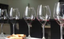 70 de distincții pentru vinurile Moldovei la competițiile internaționale