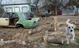 Ucraina a comparat starea satelor cu distrugerile de după război