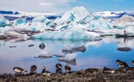 Ученые мировые ледники тают вдвое быстрее чем 20 лет назад