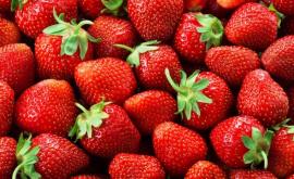 Nutriționiști Cîte căpșuni pot fi consumate zilnic 
