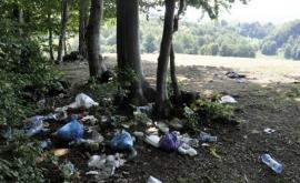Предупреждение Агентства окружающей среды Не оставляйте мусор в лесу