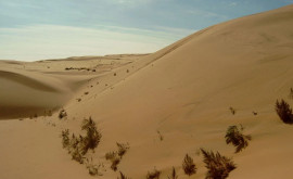 A fost descoperit misterul deșertului egiptean