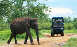 Autoritățile Sri Lanca au impus restricții mai dure pentru turiști