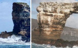 Arcul lui Darwin din Insulele Galapagos sa prăbușit