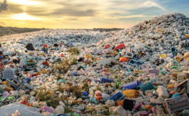 Всего 20 компаний производят 55 мировых пластиковых отходов