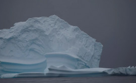 В России объяснили откол самого большого айсберга в мире