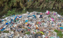 Турция вводит запрет на импорт полиэтиленовых отходов