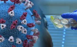 Исследователи Коронавирус передается и через клетки иммунной системы