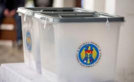МИДЕИ просит открыть больше избирательных участков за рубежом