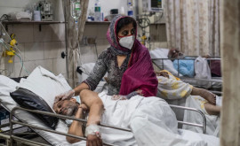 Новая эпидемия зарождается в Индии смертельный грибок