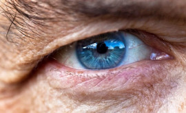 Terapie genică Un pacient orb şia redobîndit parţial vederea