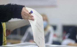 Последний день регистрации для досрочных выборов Сколько сограждан из диаспоры уже записались