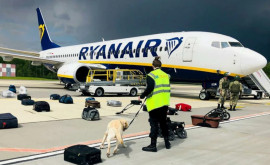 США и Польша инициировали собственное расследование посадки самолета Ryanair