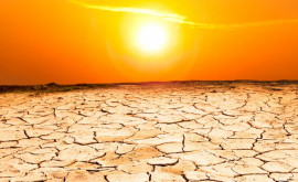Valuri de caniculă Peste o treime din decese pot fi atribuite încălzirii globale