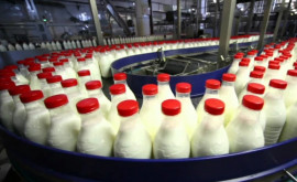 Veste bună pentru producătorii de lactate