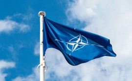 Zelensky a cerut acceptarea imediată a Ucrainei în NATO