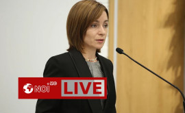 Maia Sandu susține un briefing de presă