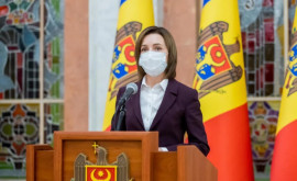 В Молдове создана новая антикоррупционная структура Кто вошел в ее состав