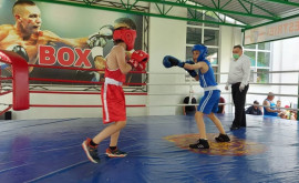 A început Campionatul de box printre școlari FOTO