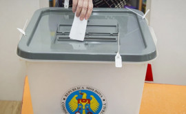 У молдавской диаспоры в России больше причин требовать увеличения числа избирательных участков Мнение