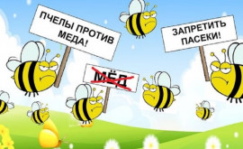 PAS против коррупции это как пчёлы против мёда Мнение ВИДЕО