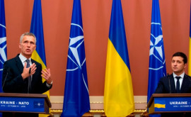 Зеленский заявил что Украина ждет сигналов о перспективах по членству в НАТО