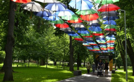 Фестиваль зонтов в этом году пройдет в новом месте