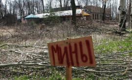 Украинские силовики подорвались на собственных минах в Донбассе