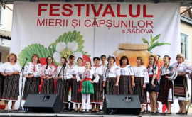 După o pauză de trei ani la Sadova se va desfășura festivalul căpșunelor