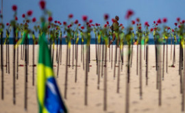 Plaja Copacabana a fost acoperită cu trandafiri